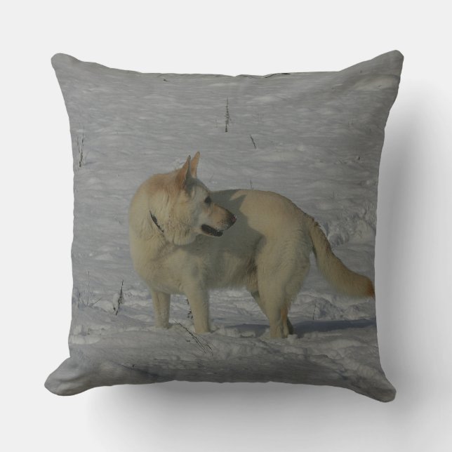 White German Shepherd  in the Snow Cushion (Front)