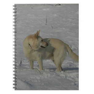 White German Shepherd  in the Snow Spiral Notebook