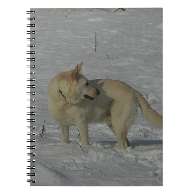 White German Shepherd  in the Snow Spiral Notebook (Front)