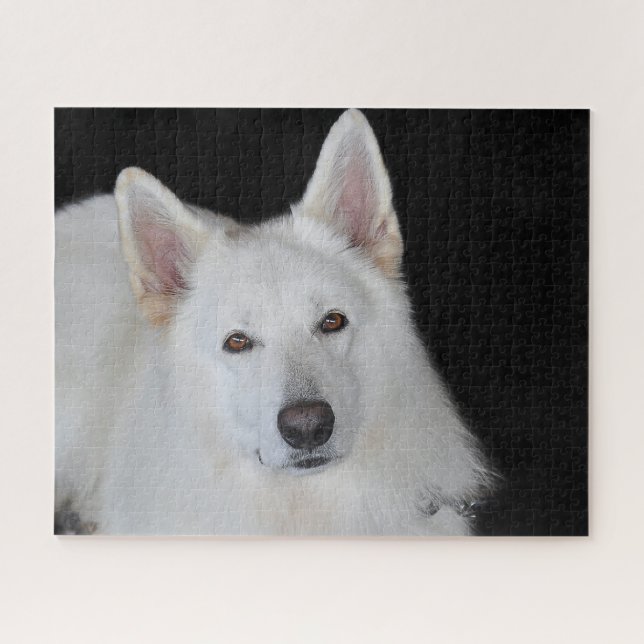 White German Shepherd Jigsaws. Jigsaw Puzzle (Horizontal)