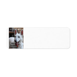 white german shepherd love w pic