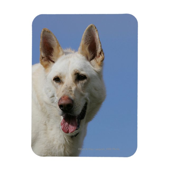 White German Shepherd Magnet (Vertical)