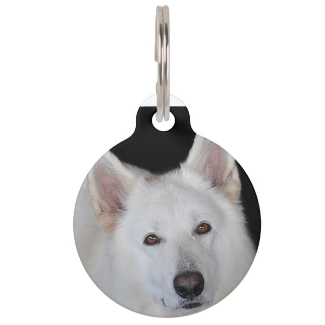 White German Shepherd Pet Tag (Front)