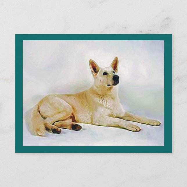White German Shepherd Postcard (Front)