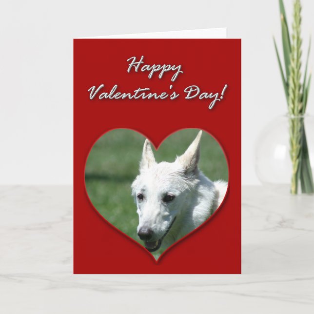 White German Shepherd Valentines Day Card (Front)
