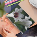 White Giant Himalayan Lilies Floral Planner<br><div class="desc">This monthly/weekly calendar planner keeps all your up-coming activities and schedules organized in one,  handy place and features a photo image of trumpet shaped,  white Giant Himalayan Lily flowers with reddish-purple centers. A lovely,  floral design! Select your planner style and wire color.</div>