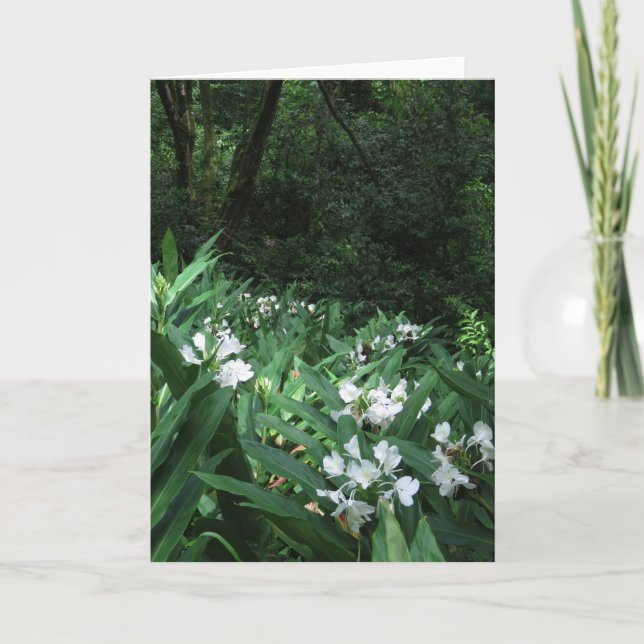 White Ginger Card (Front)