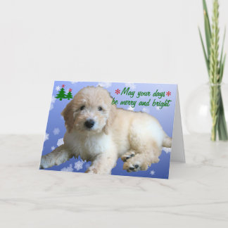 White Golden Doodle Christmas Holiday Card
