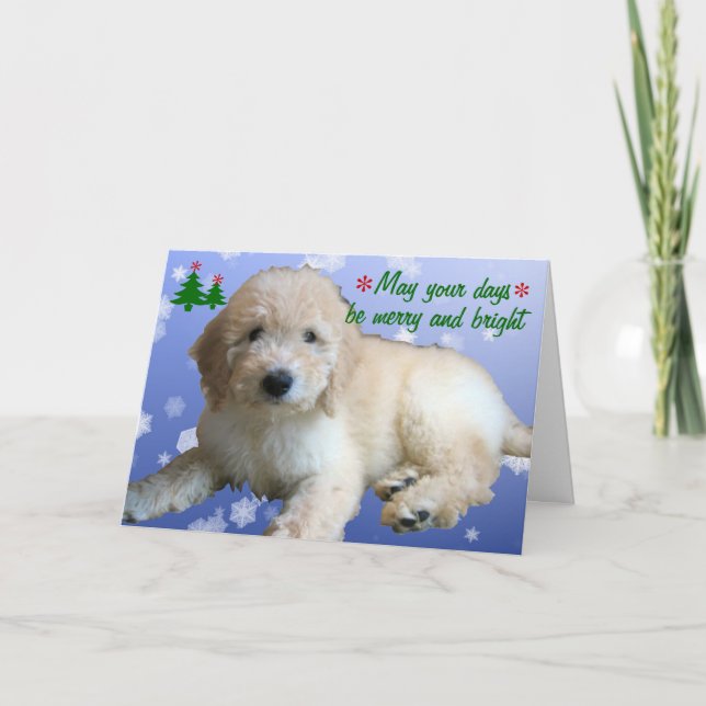 White Golden Doodle Christmas Holiday Card (Front)