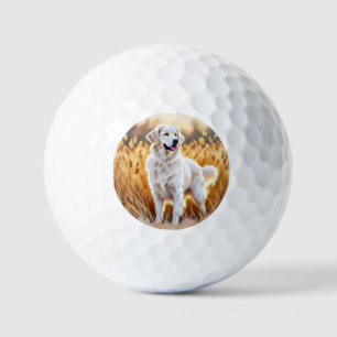 White Golden Retriever Dog Golf Balls