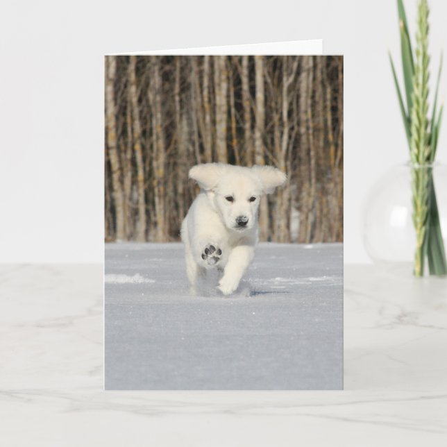 White Golden Retriever Puppy in Snow Card (Front)