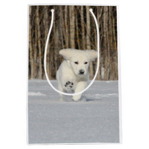 White Golden Retriever Puppy in Snow Medium Gift Bag