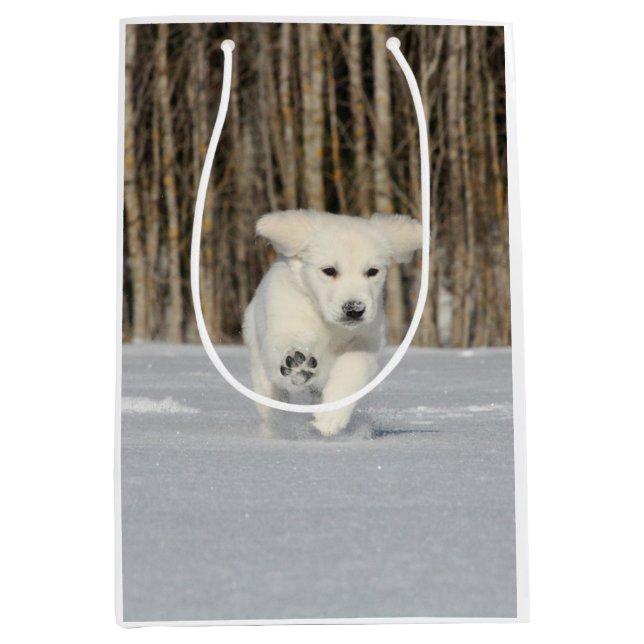 White Golden Retriever Puppy in Snow Medium Gift Bag (Front)