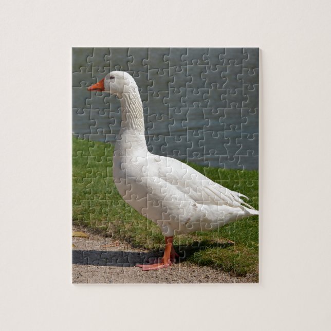 White goose near of pond jigsaw puzzle (Vertical)