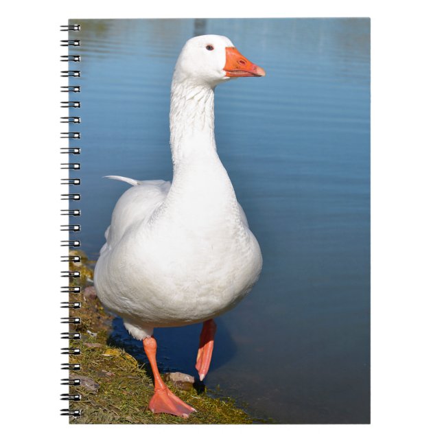 White goose on grass spiral notebook (Front)