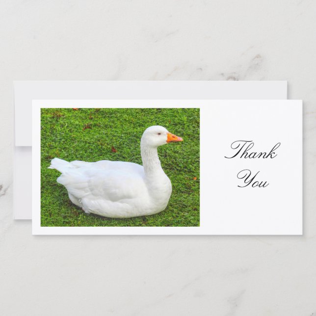 White Goose - Thank You (Front)