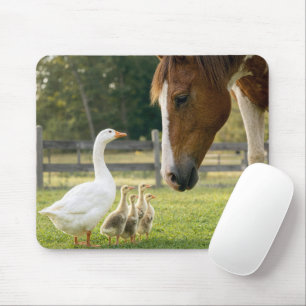 White Goose with Goslings and Horse Mouse Pad