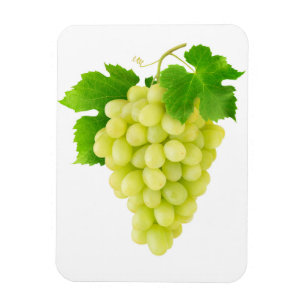 White grape magnet