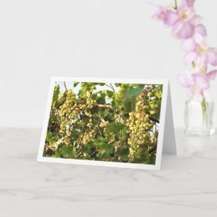 White Grape Vine on Fence Card