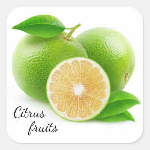 White grapefruit square sticker