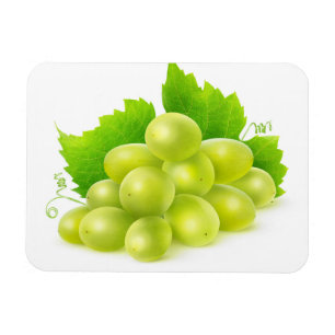 White grapes magnet