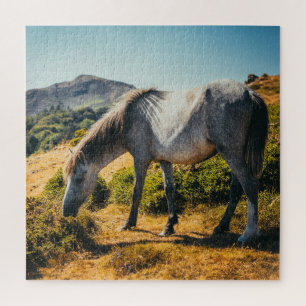 White & Gray Horse Grazing with Sun Shining Down Jigsaw Puzzle
