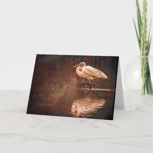 White Great Egret Bird In Water Card (Front)