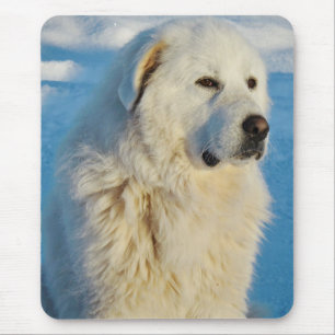 White Great Pyrenees Livestock Guardian Dog Mouse Pad