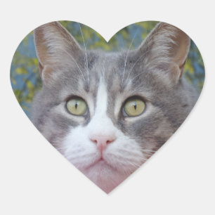 White/Grey Cat Heart Sticker