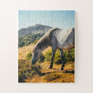 White & Grey Horse Grazing with Sun Shining Down Jigsaw Puzzle
