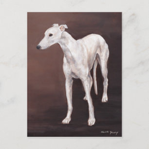 White Greyhound Dog Art Postcard