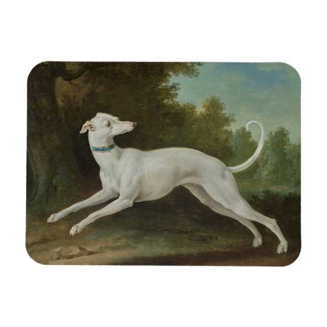 White Greyhound Dog Magnet (Horizontal)