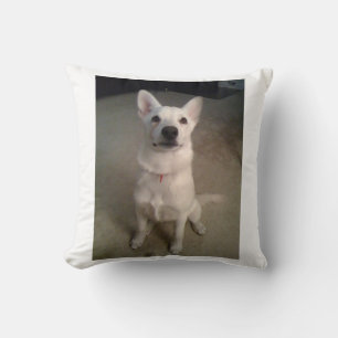 white gs pup cushion