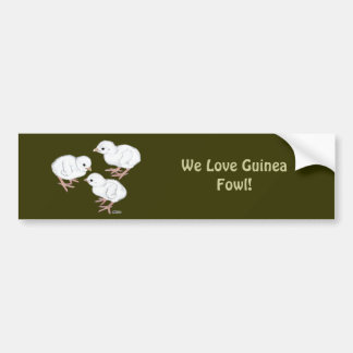 White Guinea Keets Bumper Sticker