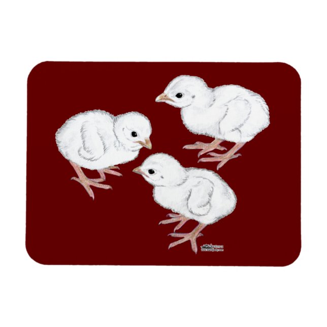 White Guinea Keets Magnet (Horizontal)