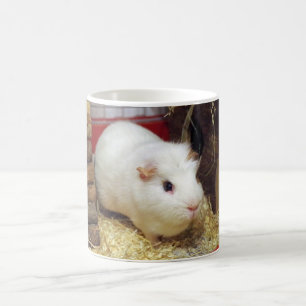 white guinea pig mug