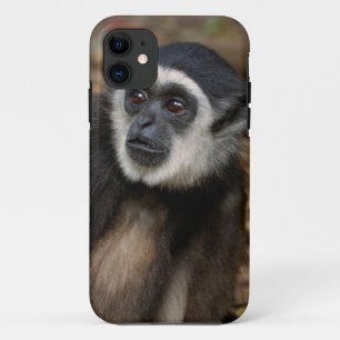 White-Handed Gibbon (Hylobates Lar), Monkeyland Case-Mate iPhone Case