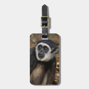 White-Handed Gibbon (Hylobates Lar), Monkeyland Luggage Tag