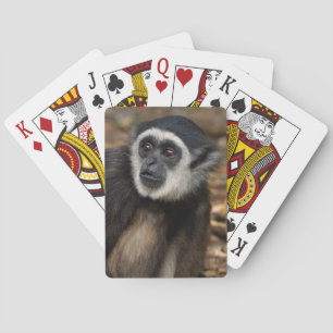 White-Handed Gibbon (Hylobates Lar), Monkeyland Playing Cards