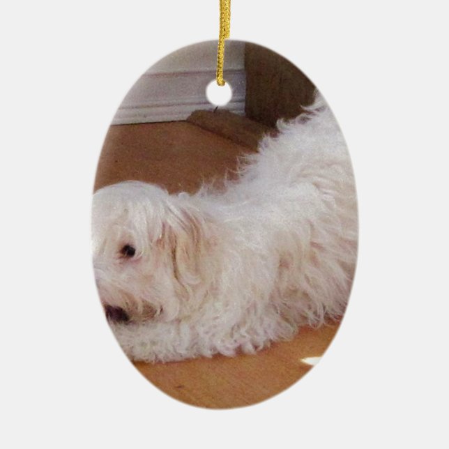 White Havanese Puppy Playing with Red Ball Ceramic Tree Decoration (Front)