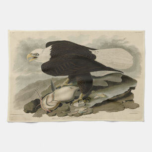 White-headed (Bald Eagle) Audubon Birds of America Tea Towel