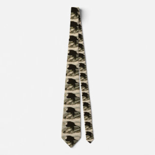 White-headed (Bald Eagle) Audubon Birds of America Tie