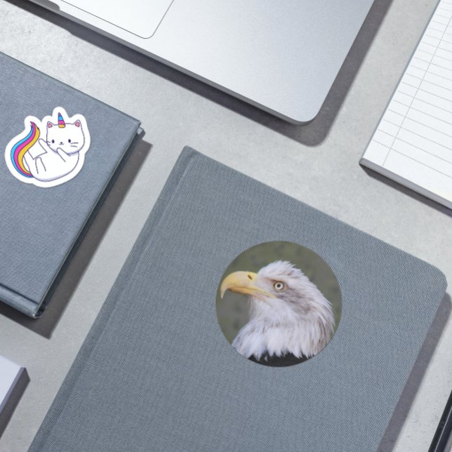 White Headed Bald Eagle Classic Round Sticker (In Situ)