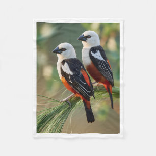 White-headed Buffalo Weaver Blanket