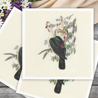 White-headed Fruit Pigeon,  Napkin