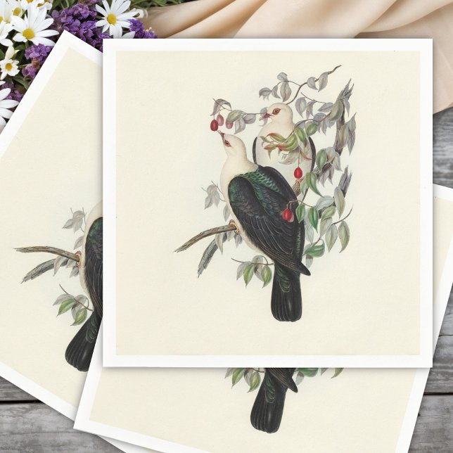 White-headed Fruit Pigeon,  Napkin (Creator Uploaded)