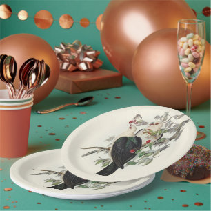 White-headed Fruit Pigeon,  Paper Plate