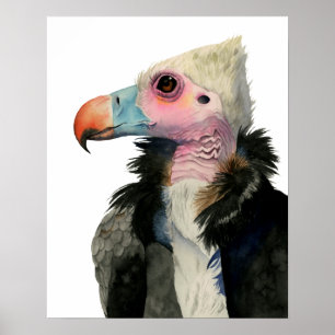 White-Headed Vulture Watercolor Painting Poster