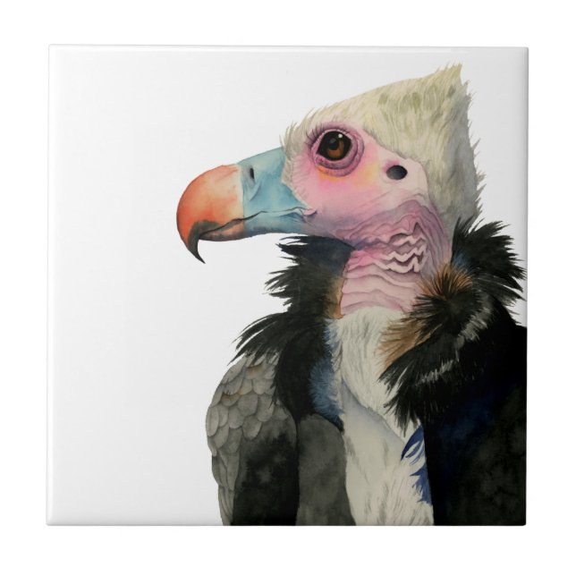 White-Headed Vulture Watercolor Painting Tile (Front)