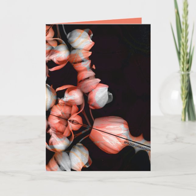 "White heart in black from sun" & Indifference Card (Front)